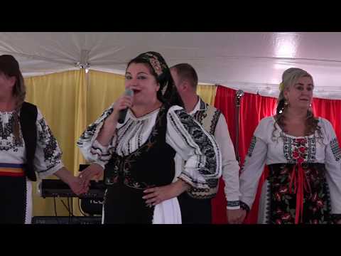 Voichita Naghi  - Spusu-mio frunza de prun