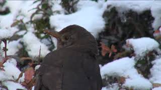 HÍREK A TERMÉSZETBŐL