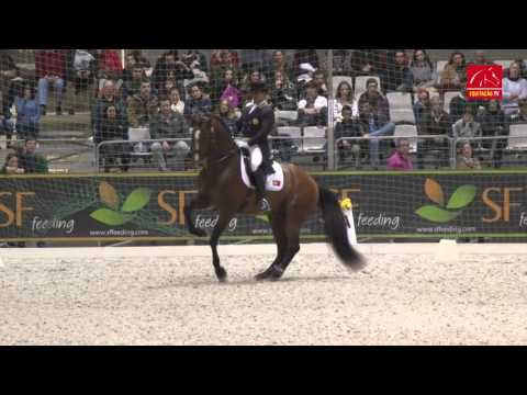 CDI3* Pet Festival 2016 - Daniel Pinto/Santurion de Massa (GPK)
