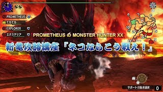【ゆっくり実況】斬竜ディノバルド攻略講座（MHXX）