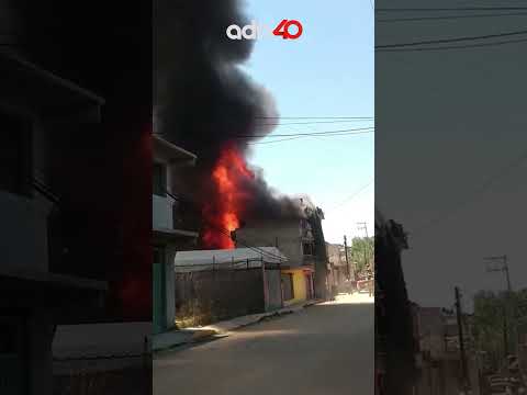 Las razones por las que los incendios de Los Ángeles \