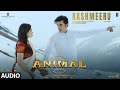 ANIMAL:Kashmeeru (Audio) | Ranbir K,Rashmika,Anil K,Bobby D| Sandeep V| Shreya G,Yazin N | Bhushan K