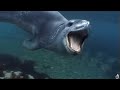 Leopard Seals, Lords of the Ice | Documentary