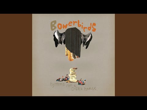The Ticonderoga - Bowerbirds
