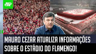 ‘Sobre o novo estádio do Flamengo, uma fonte me disse que…’: Mauro Cezar dá informações