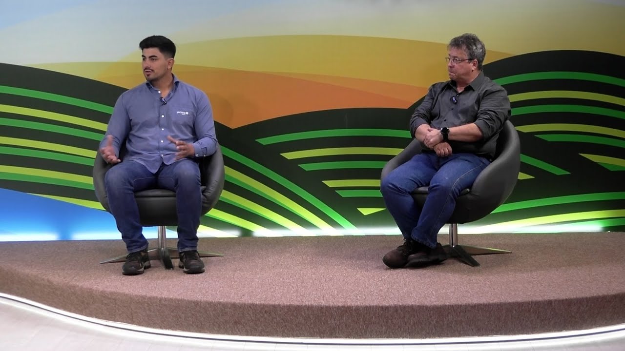 Integração lavoura pecuária: qual o potencial do sistema?