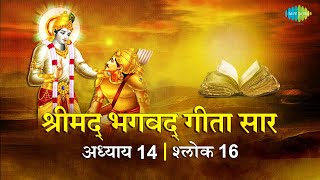 भगवद गीता सार अध्याय 14 श्लोक 16 with lyrics | Bhagvad Geeta Chapter 14 sholk 16| Shailendra Bharti