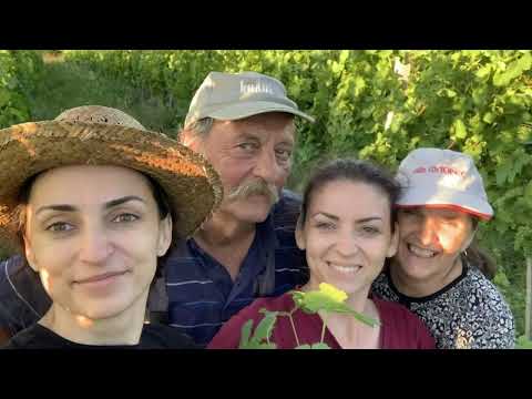 Znanje imanje - 18. januar 2026.