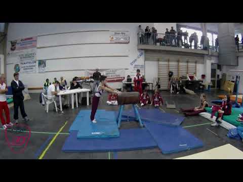 GINNASTICA ARTISTICA - BROGI FRANCESCO 2013