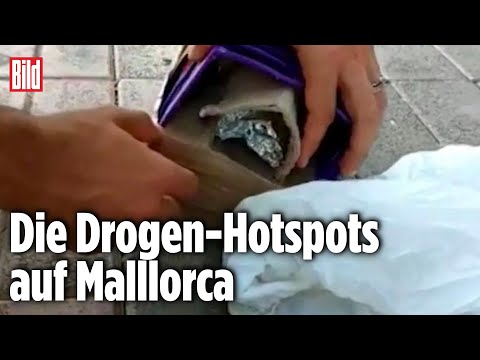 Razzia auf Mallorca: Drogen-Dealer festgenommen