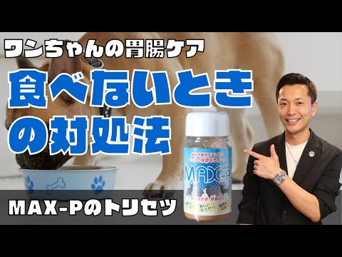 犬に下剤を与えてもいいですか?