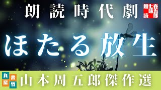 「ほたる放生」　山本周五郎の傑作短編です。ほたるを基軸に、女のはかなさ辛さを描いた岡場所ものの名編！【朗読時代小説】