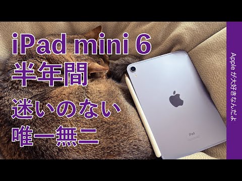 iPad mini 2021 (第6世代) 256GB 新品 68,000円 中古 | ネット最 iPad mini 2021 (第6世代) 256GB 新品 68,000円 中古 | ネット最