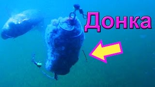 Карпа на донку с кормушкой