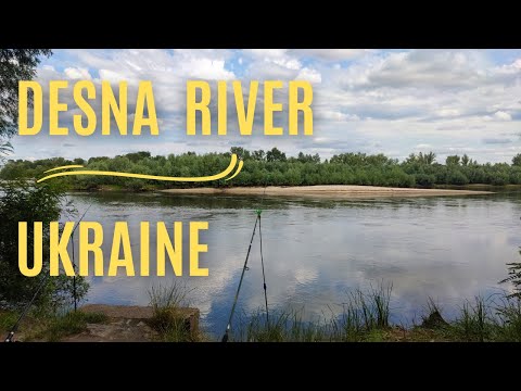 Чарівна річка Десна, Україна | Desna River UKRAINE | Река Десна, УКРАИНА