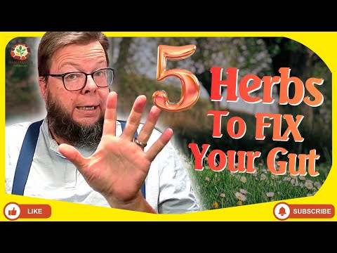 Tired of Bloating, Constipation or Acid Reflux? Try These 5 Herbs