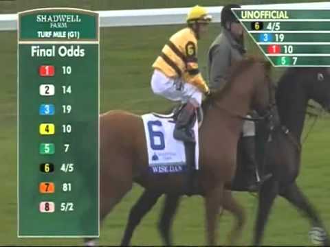 2014 Shadwell Turf Mile - Wise Dan