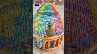 Download lagu Batair ki awaz / Quail sound| بٹیر کی آواز/ Volium Number/ Batair / Bater/ FSJ TV mp3