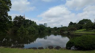 DJI Pocket 3 | 4K test footage | Shinjuku Gyoen National Garden, Tokyo