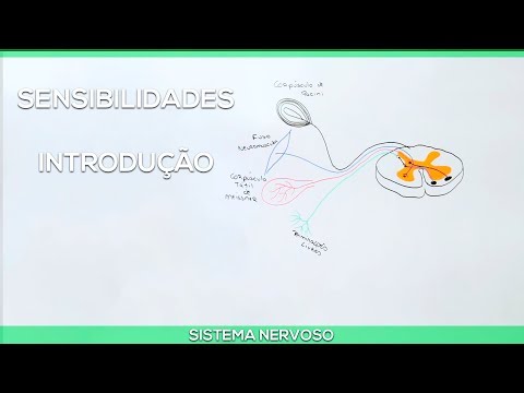 Sensory pathways: Introduction