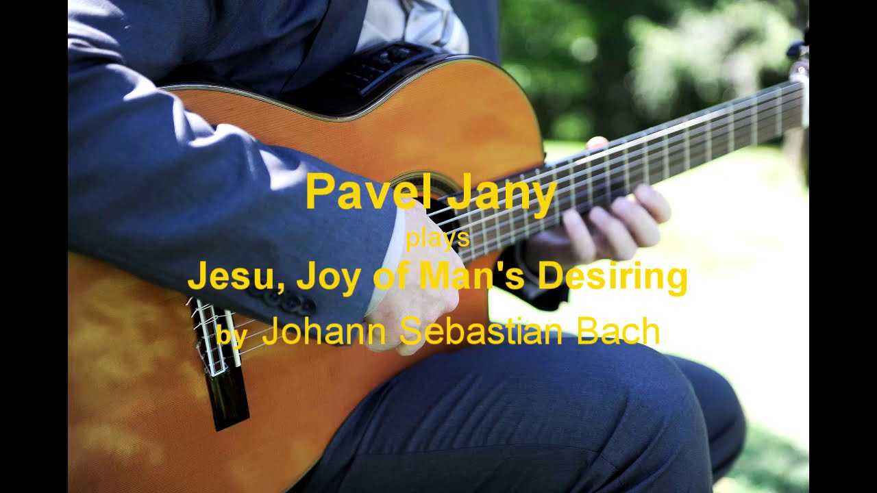 Promotional video thumbnail 1 for Pavel Jany