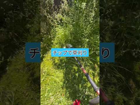 刈った草を木の根元に置く必要がある理由は次のとおりです。  庭園