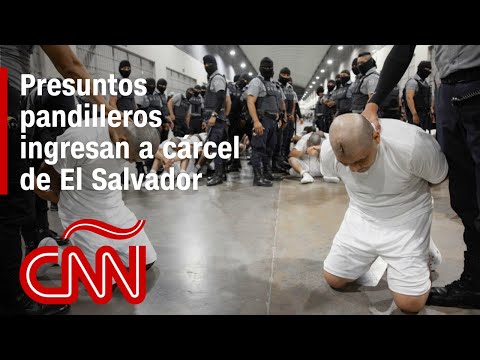 Así recibió El Salvador a 238 presuntos miembros del Tren de Aragua deportados por EE.UU.