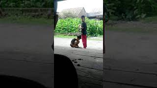 Download lagu Naon wee mp3 Download lagu Naon wee mp3