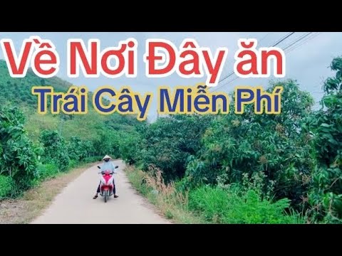 LÀM ĂN THUA LỖ - BÁN GẤP ĐẤT VƯỜN 1600M² GẦN DẦU GIÂY - GIÁ CHỈ 820 TRIỆU/SÀO