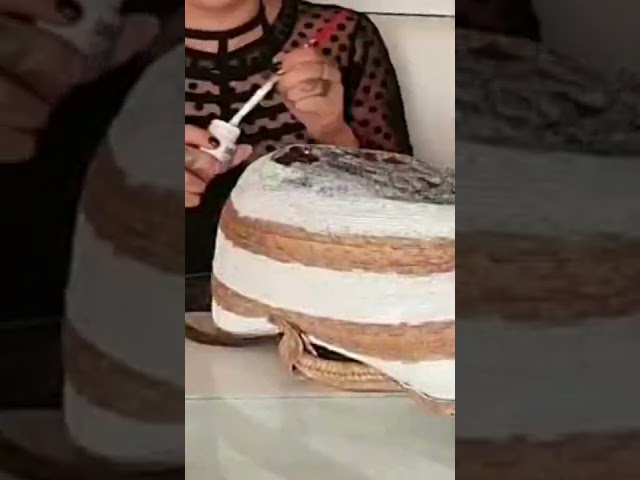 Vídeo relacionado con Ideas Artesanas Bolsa de playa con cartera (Verde oscuro)