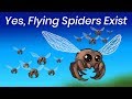 what if spiders had wings