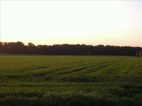 Saxophon Orchester Dobbri - Auf Der Grünen Wiese