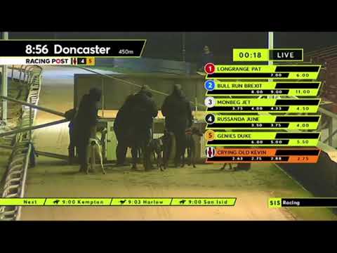 Carreras de Galgos - Doncaster 2021 🇬🇧  SIS