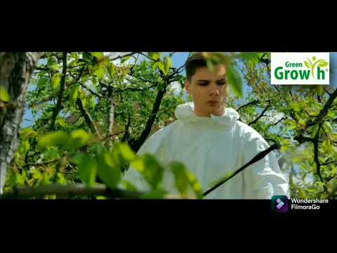 Green growth organic manure, powder, packaging size: 50 kg