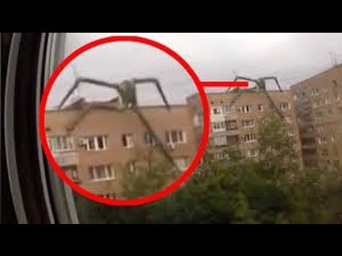 7 ЖУДКИХ и ЗАГАДОЧНЫХ СОЗДАНИЙ, снятых на КАМЕРУ!!!