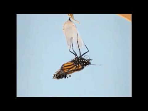 Instytut Politologii UWr - Śledzimy zmiany