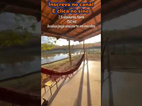 Lindo sítio em Faina GO com 7,5 alqueires #brasil #fazenda #mercadoagricola #pecuarista #agro