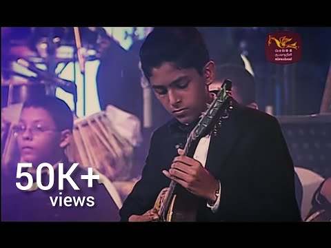Royal college Susara '14 Mandolin solo