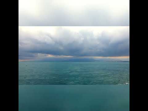 I Won't Stop Now By: Nikki Gee  #NikkiGee #IWontStopNow #IWontStopNowByNikkiGee