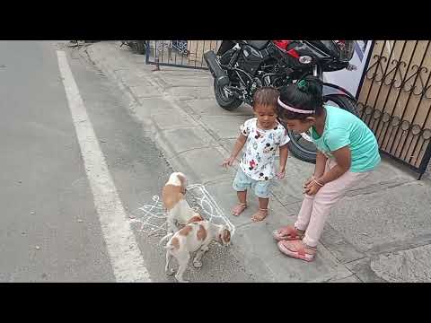 Ashvika and Arvi's love for animals | doggy lover's