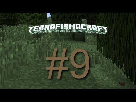 TerraFirmaCraft Ep 9 - Improvements