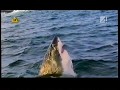 Blok Reklamowy Zapowiedzi I Ident TV4 30 Marca 2009