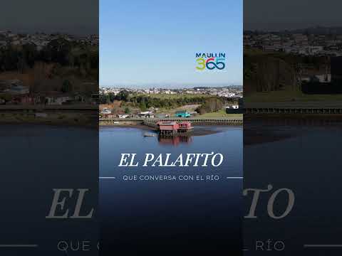 🏡🌿 El palafito que conversa con el río 📍 Maullín, Región de Los Lagos