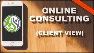 How To Run Your Nutrition Consulting Business Online (Client POV) || Holistic Nutrition Hub