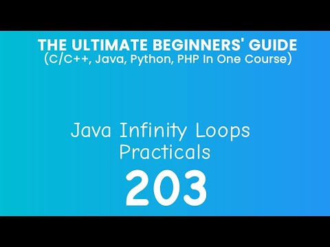 203 Java Infinity Loop Practical