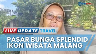 Menilik Pasar Bunga Splendid, Ikon Wisata Kota Malang yang Tawarkan Beragam Jenis Bunga Segar