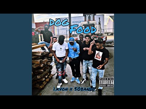 DogFood (feat. 1.kvon)