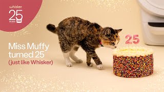 Litter-Robot Happy Birthday Miss Muffy | Celebrating 25 Years