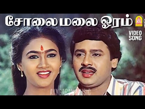 Solai Malai Ooram -  Video Song | சோலைமலை ஓரம் | Villu Pattukaran | Ramarajan | Ilaiyaraaja