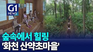 [G1뉴스]숲속에서 힐링 '화천 산약초마을'